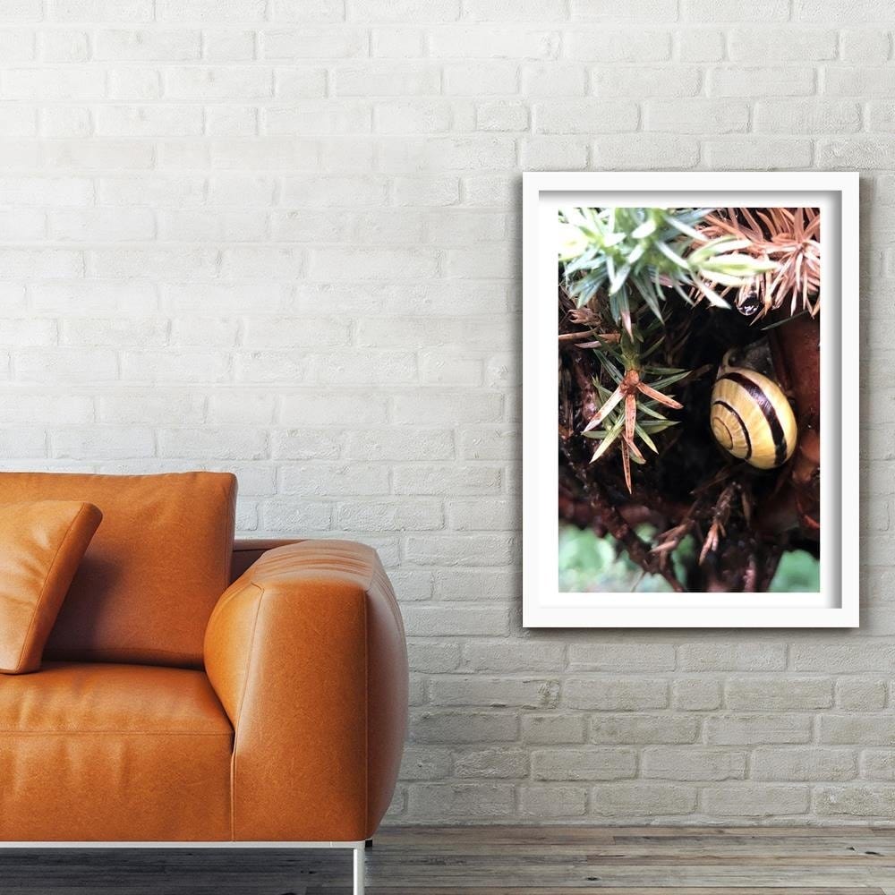 Glezna baltā rāmī - Hideout Worm  Home Trends DECO