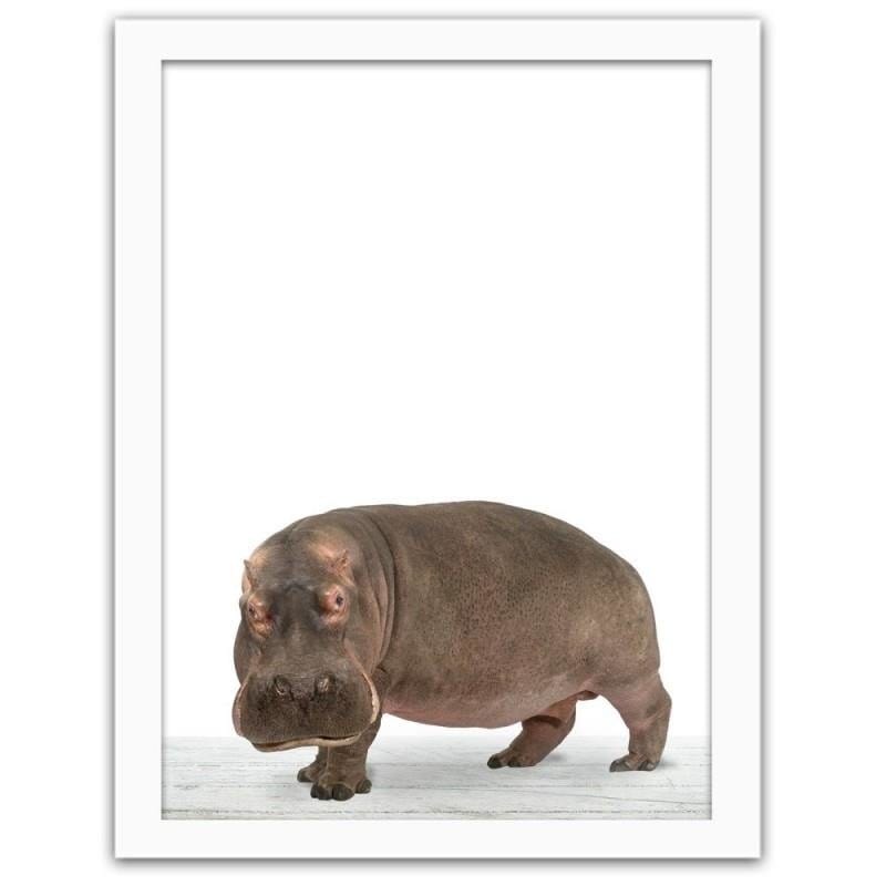 Glezna baltā rāmī - Hippopotamus Home Trends DECO