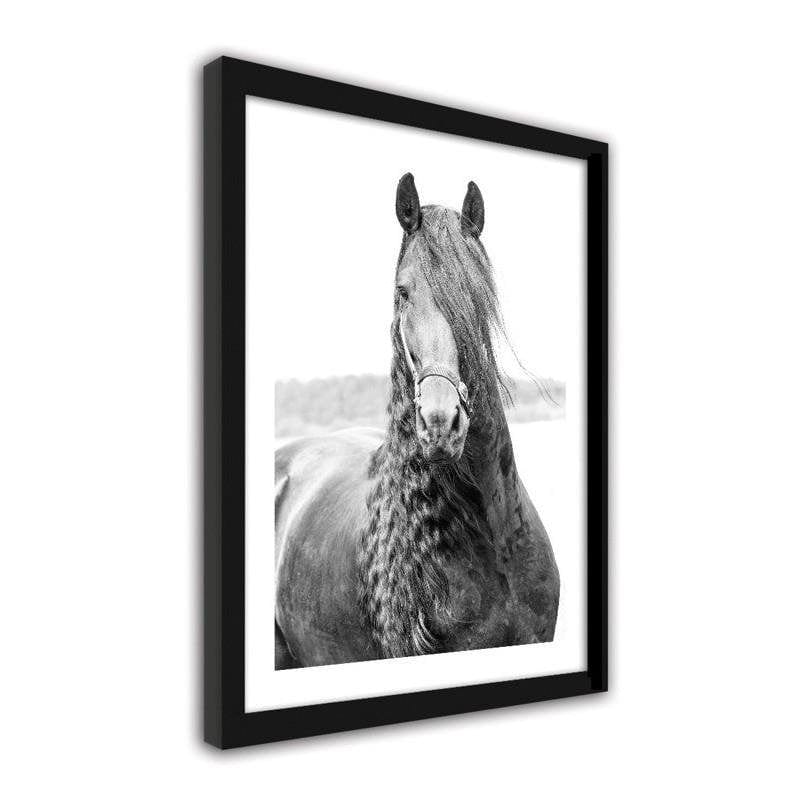 Glezna baltā rāmī - Horse 3 Home Trends DECO