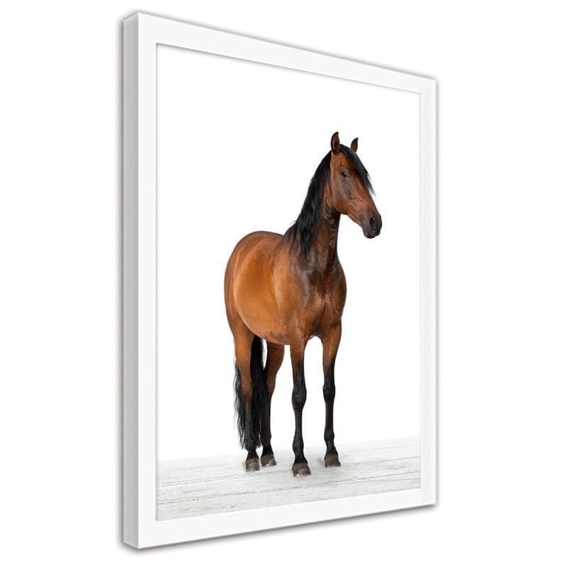 Glezna baltā rāmī - Horse Home Trends DECO