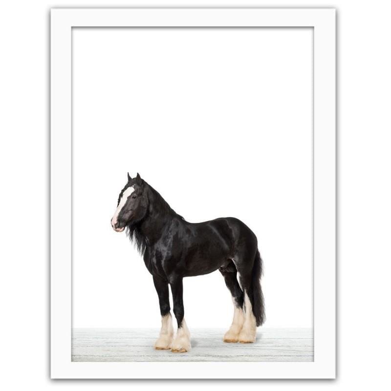 Glezna baltā rāmī - Horse shire Home Trends DECO