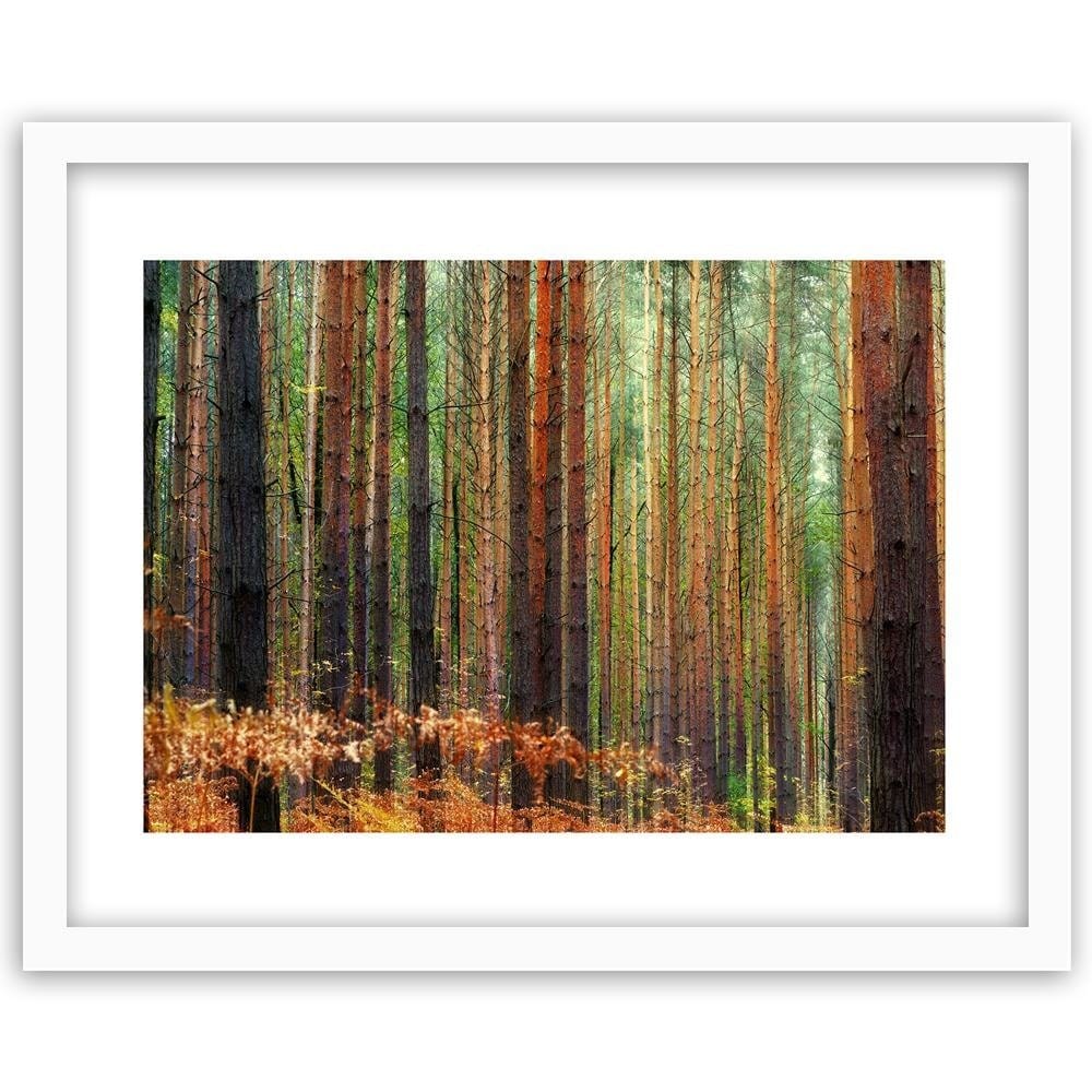 Glezna baltā rāmī - In The Middle Of A Forest  Home Trends DECO