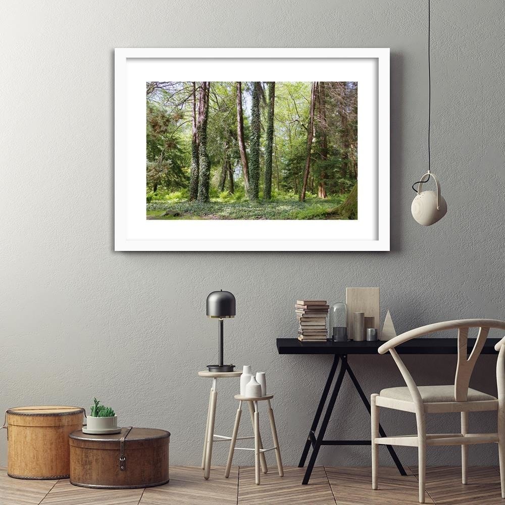 Glezna baltā rāmī - Ivy On The Trees Home Trends DECO