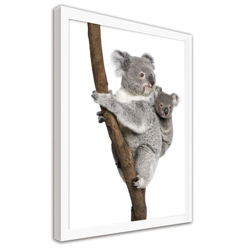 Glezna baltā rāmī - Koala climbing a tree Home Trends DECO