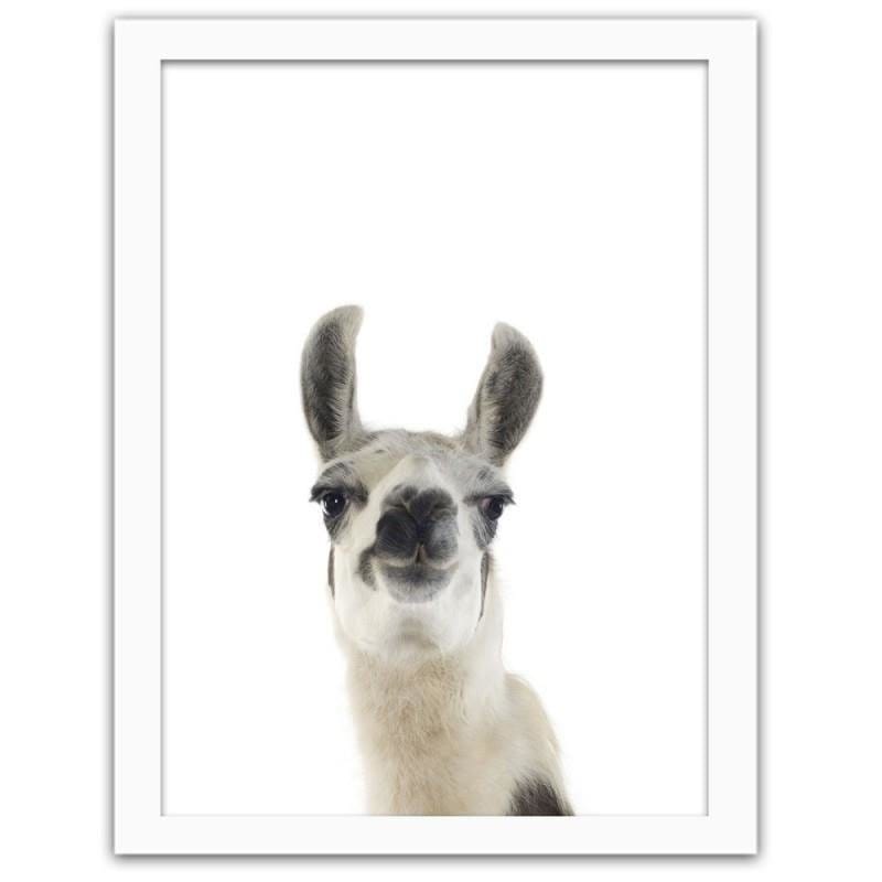 Glezna baltā rāmī - Lama - portrait Home Trends DECO