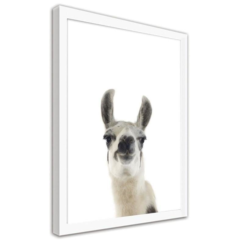 Glezna baltā rāmī - Lama - portrait Home Trends DECO