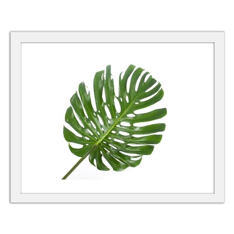 Glezna baltā rāmī - Large leaf Home Trends DECO