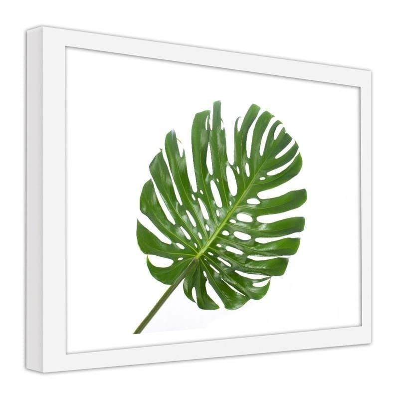 Glezna baltā rāmī - Large leaf Home Trends DECO