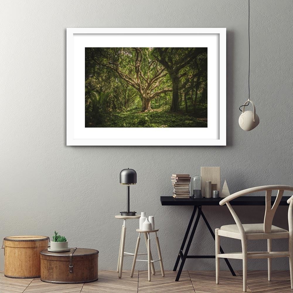 Glezna baltā rāmī - Large Tree In The Middle Of The Forest Home Trends DECO