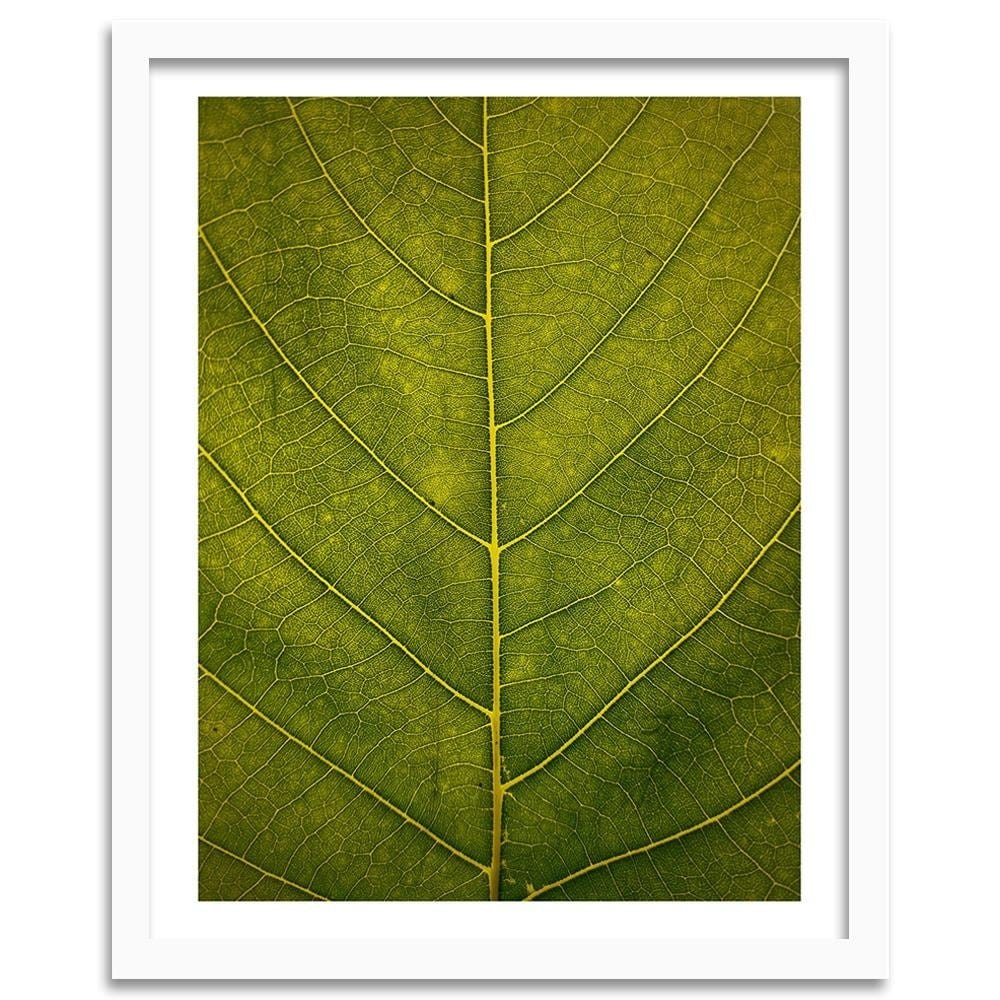 Glezna baltā rāmī - Leaf Close Up Home Trends DECO