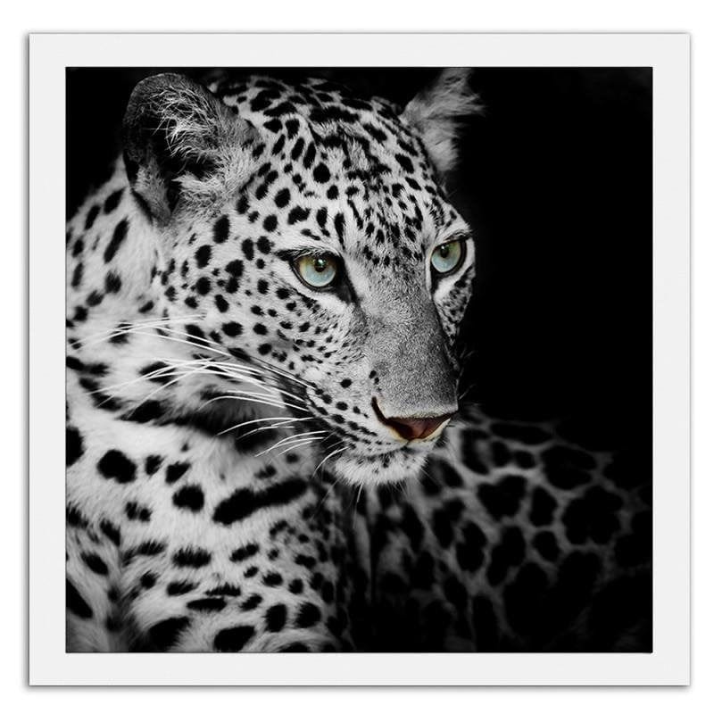 Glezna baltā rāmī - Leopard Home Trends DECO
