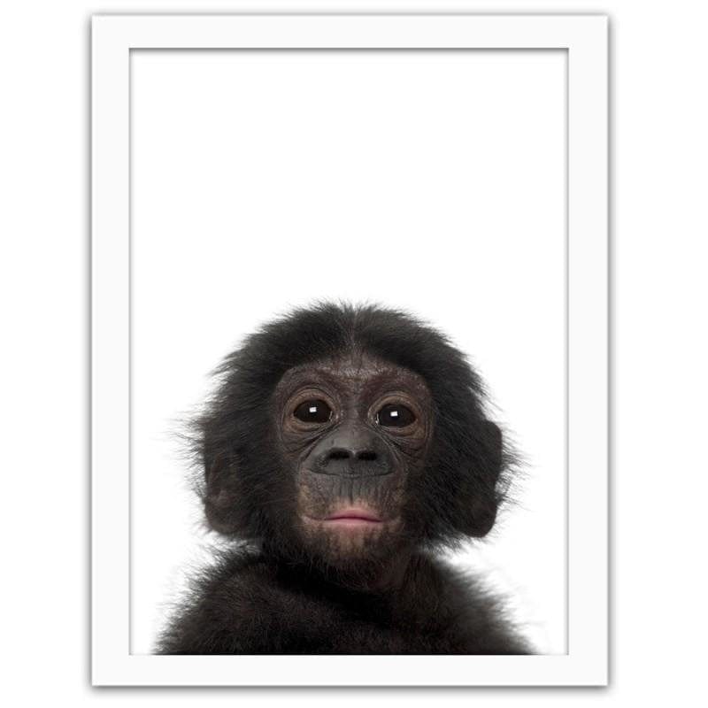 Glezna baltā rāmī - Little chimpanzee. Home Trends DECO