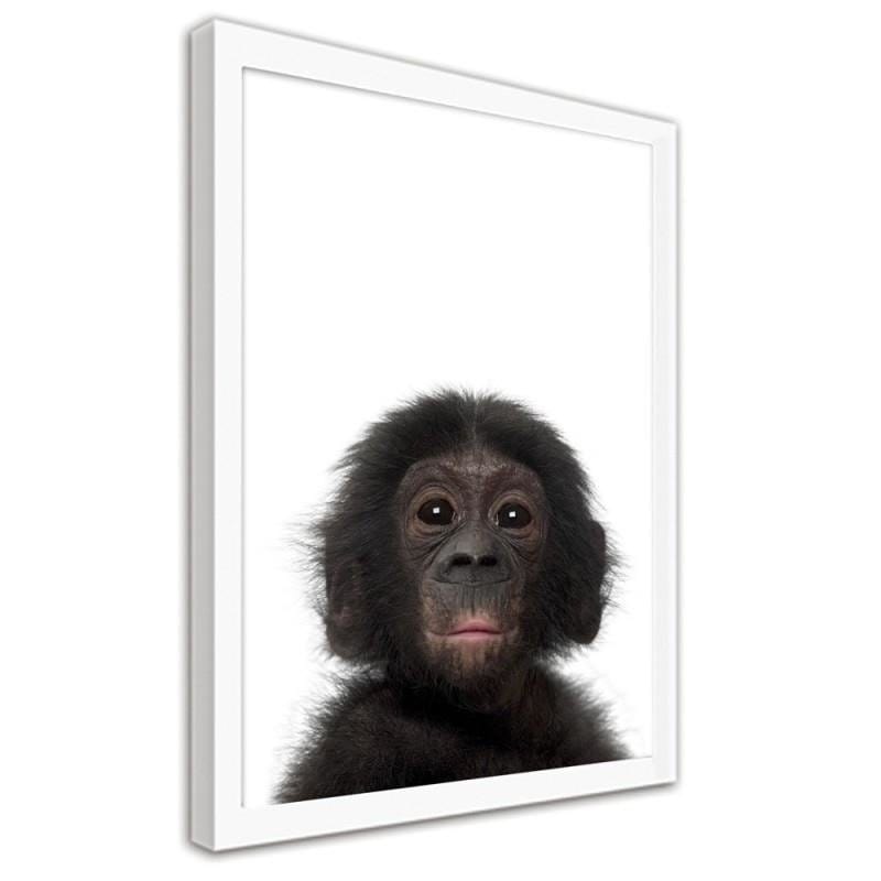 Glezna baltā rāmī - Little chimpanzee. Home Trends DECO