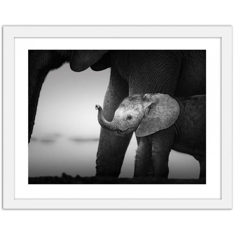 Glezna baltā rāmī - Little elephant 2 Home Trends DECO