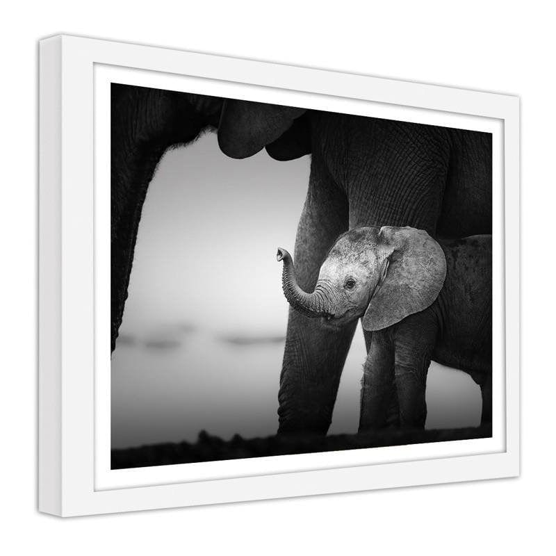 Glezna baltā rāmī - Little elephant 2 Home Trends DECO