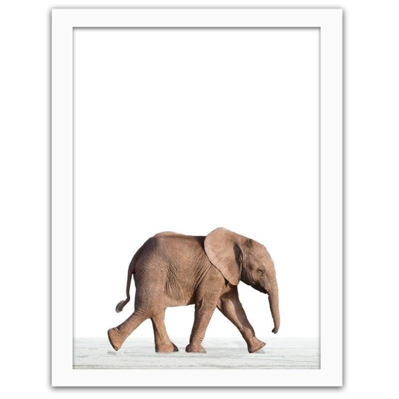 Glezna baltā rāmī - Little elephant Home Trends DECO