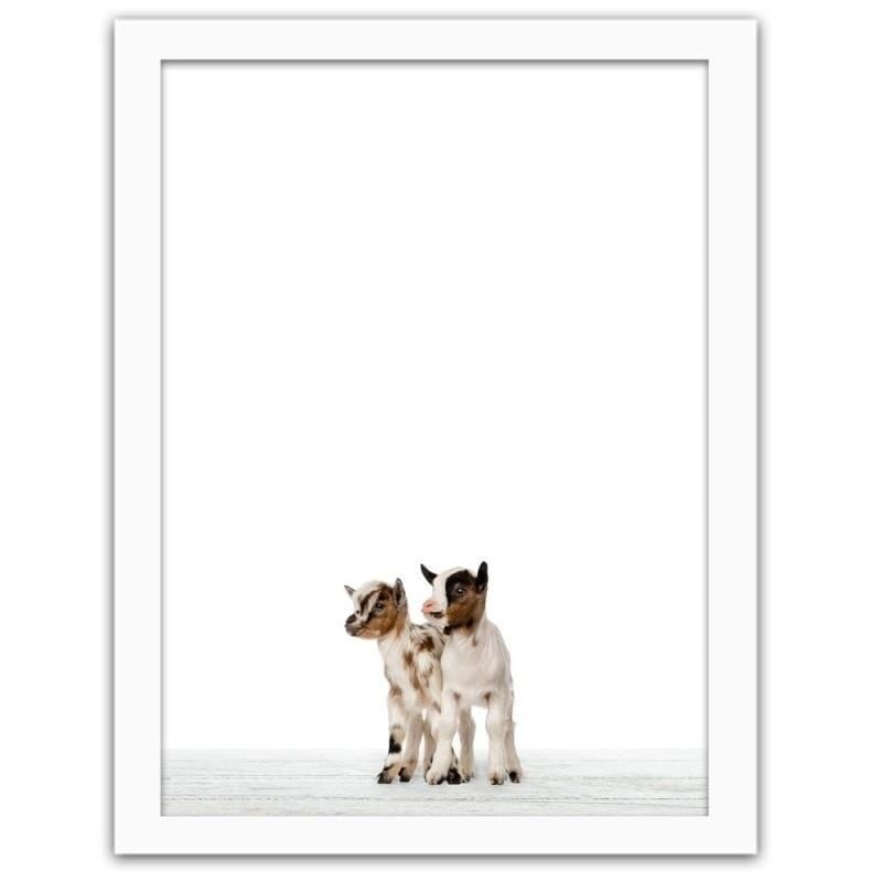Glezna baltā rāmī - Little goats Home Trends DECO