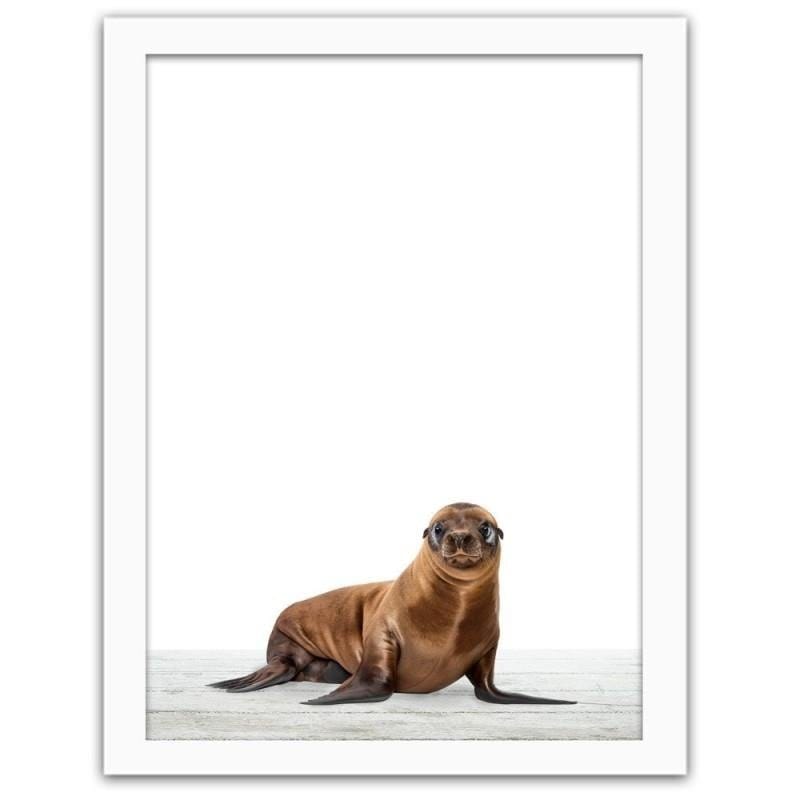 Glezna baltā rāmī - Little sea lion Home Trends DECO