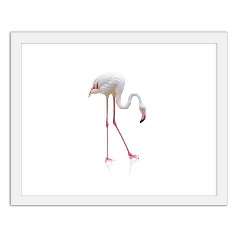 Glezna baltā rāmī - Lonely flamingo Home Trends DECO