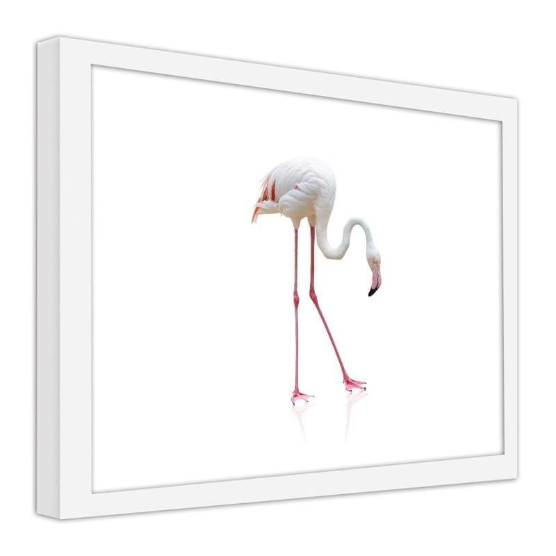 Glezna baltā rāmī - Lonely flamingo Home Trends DECO