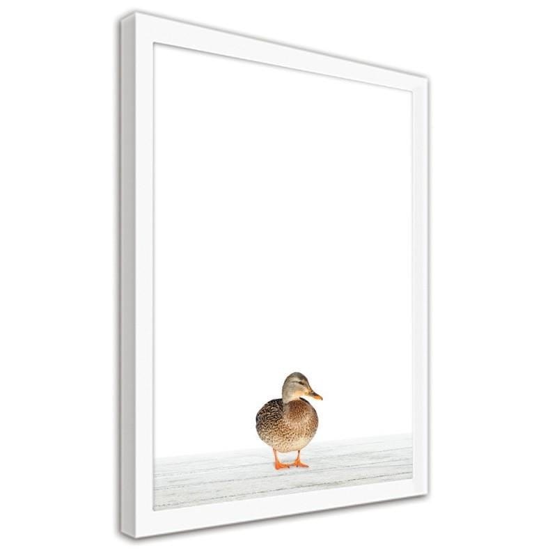 Glezna baltā rāmī - Mallard duck Home Trends DECO