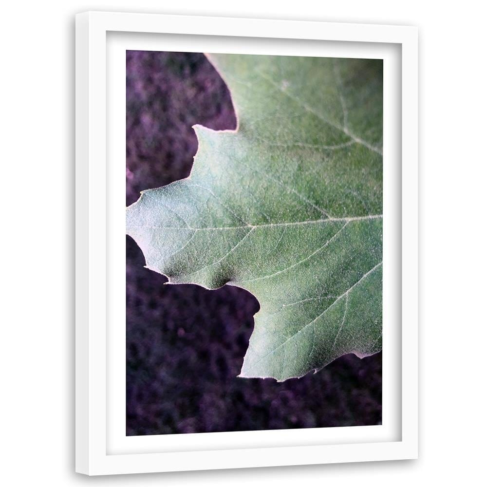 Glezna baltā rāmī - Maple Leaf Home Trends DECO