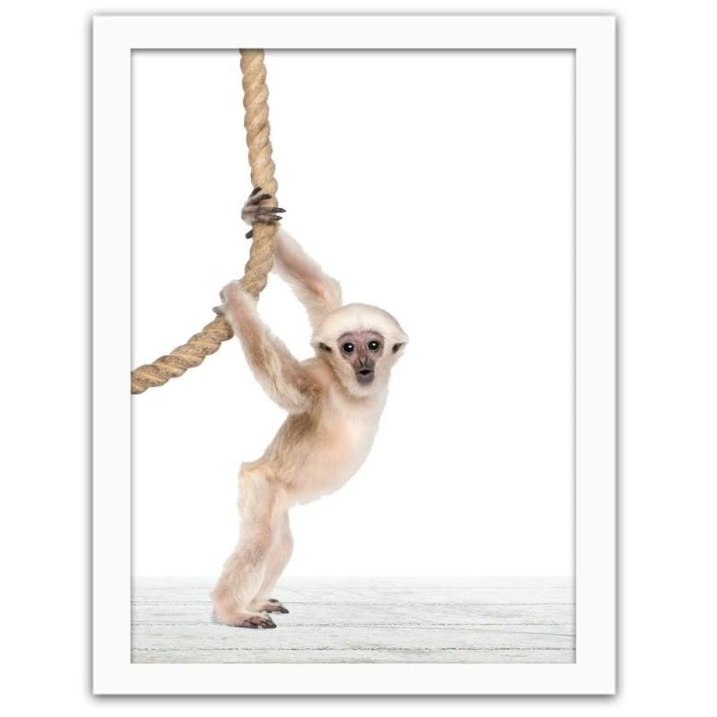 Glezna baltā rāmī - Monkey with rope Home Trends DECO