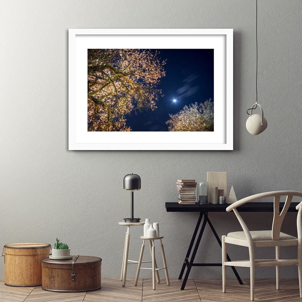 Glezna baltā rāmī - Moon Over Trees Home Trends DECO