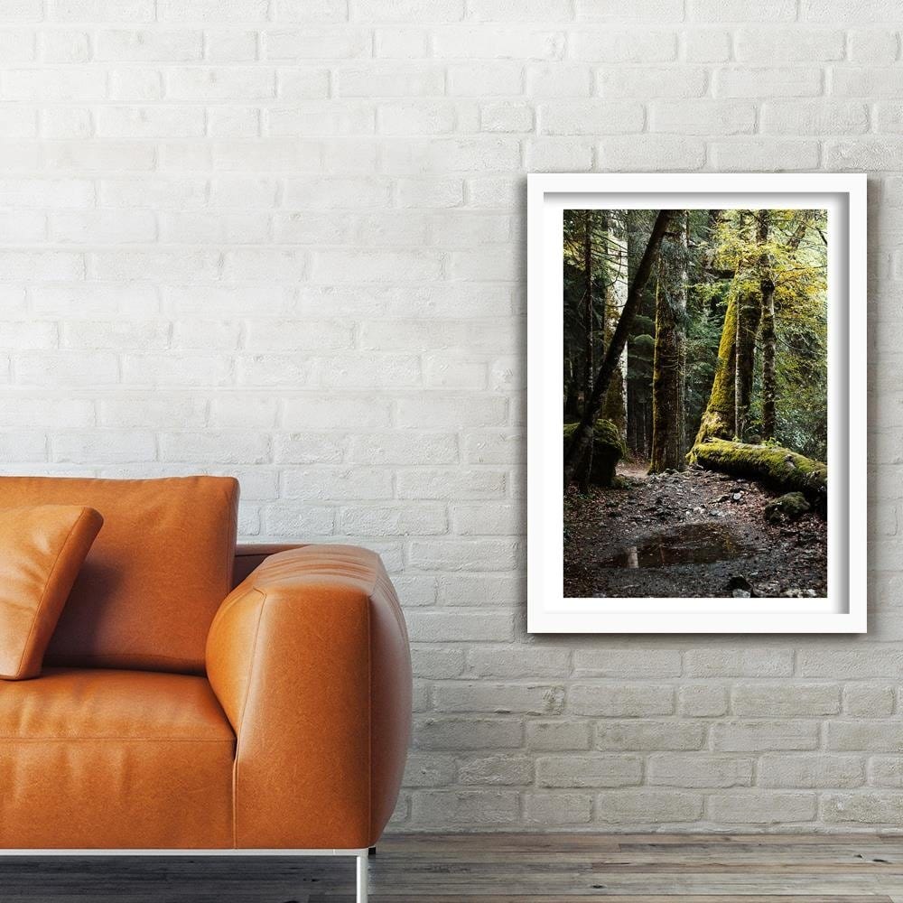 Glezna baltā rāmī - Moss-Covered Tree Home Trends DECO