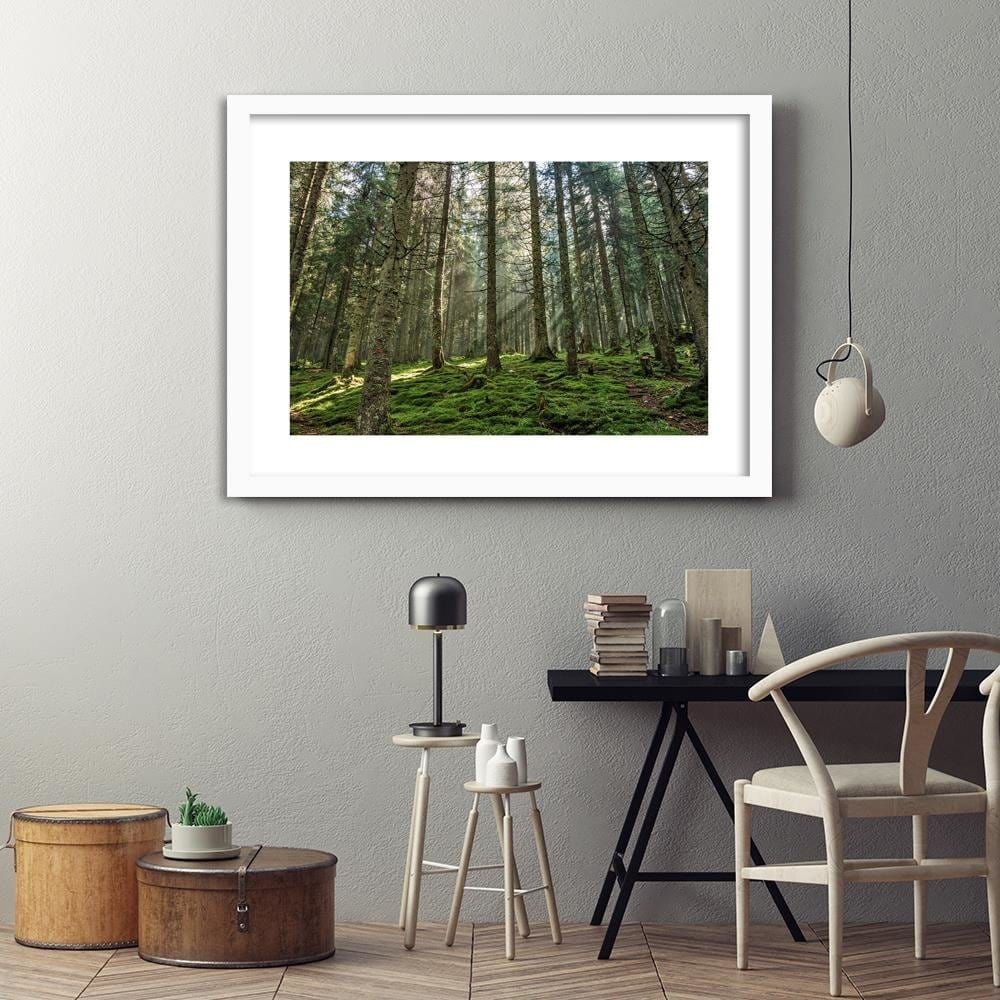 Glezna baltā rāmī - Moss In The Forest Home Trends DECO