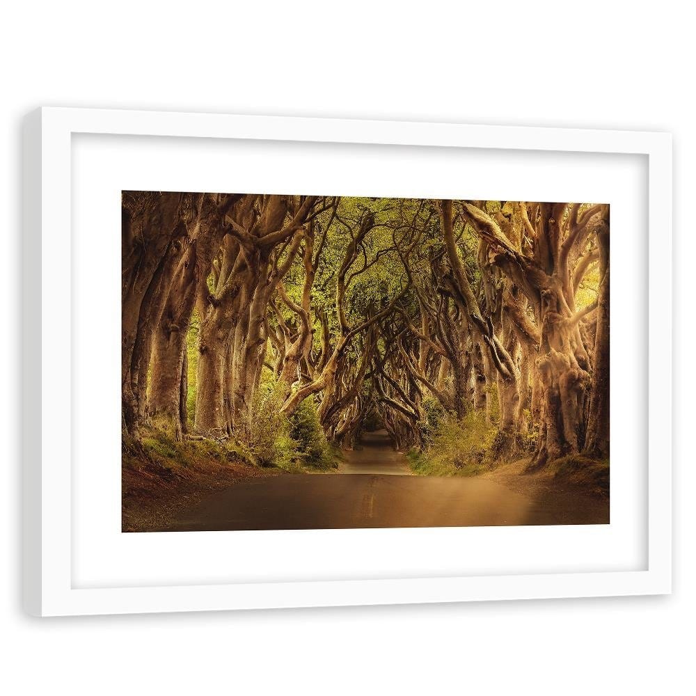 Glezna baltā rāmī - Mysterious Forest  Home Trends DECO