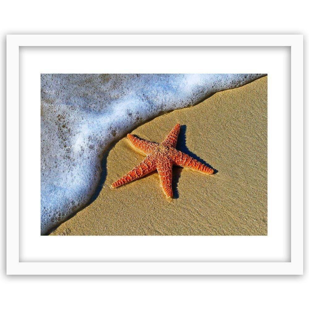 Glezna baltā rāmī - Orange Starfish Home Trends DECO
