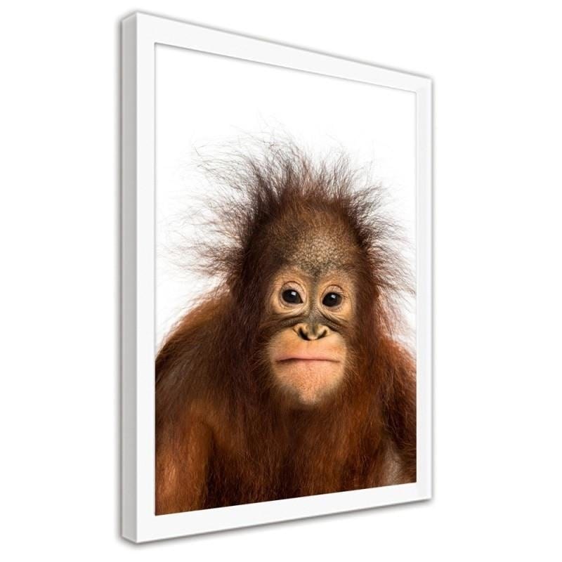 Glezna baltā rāmī - Orangutan Home Trends DECO