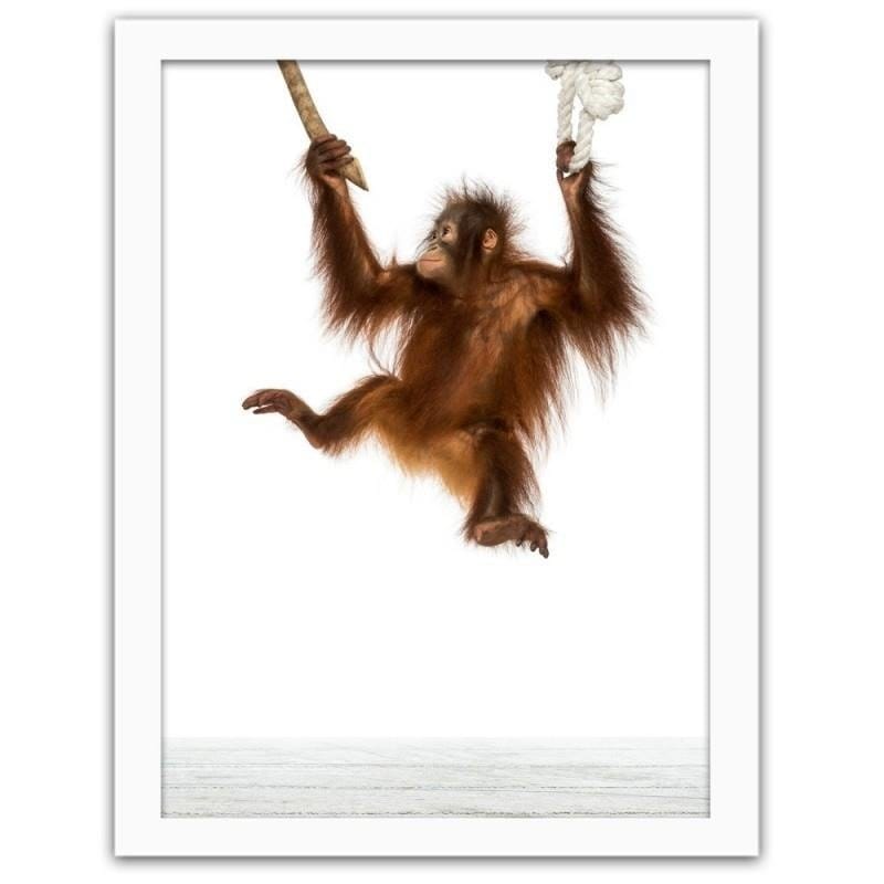 Glezna baltā rāmī - Orangutan on the ropes Home Trends DECO