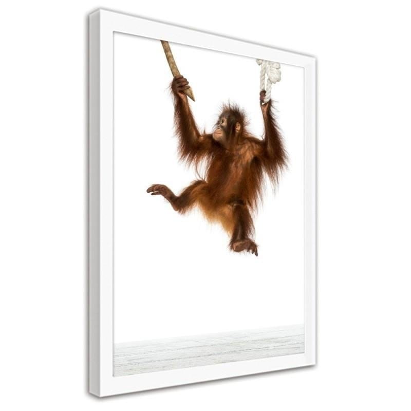 Glezna baltā rāmī - Orangutan on the ropes Home Trends DECO
