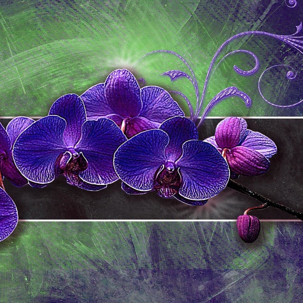 Glezna baltā rāmī - Orchid Purple Home Trends DECO