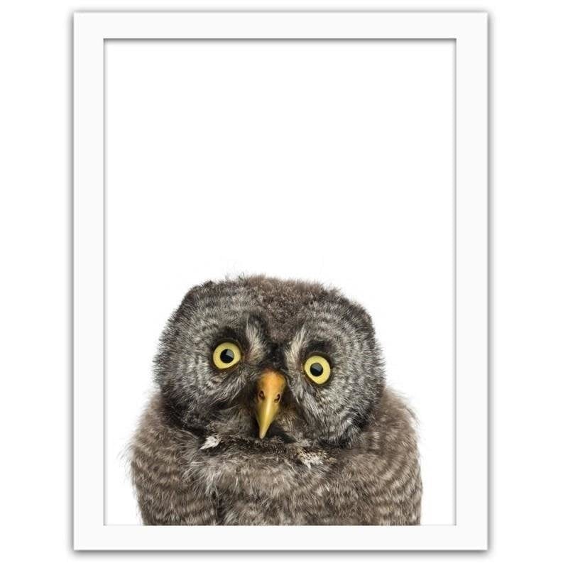 Glezna baltā rāmī - Owl Home Trends DECO