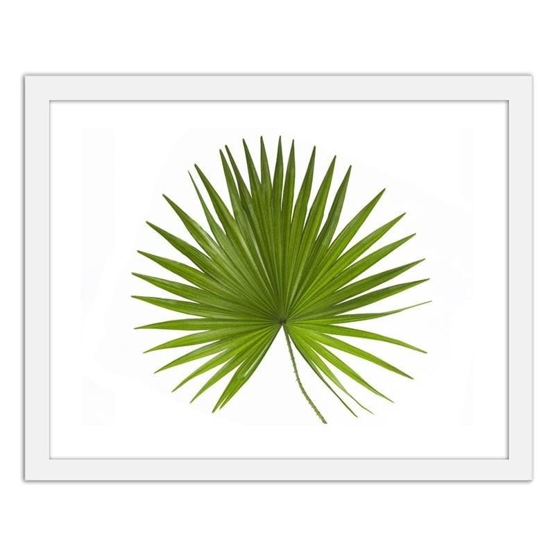 Glezna baltā rāmī - Palm leaf Home Trends DECO