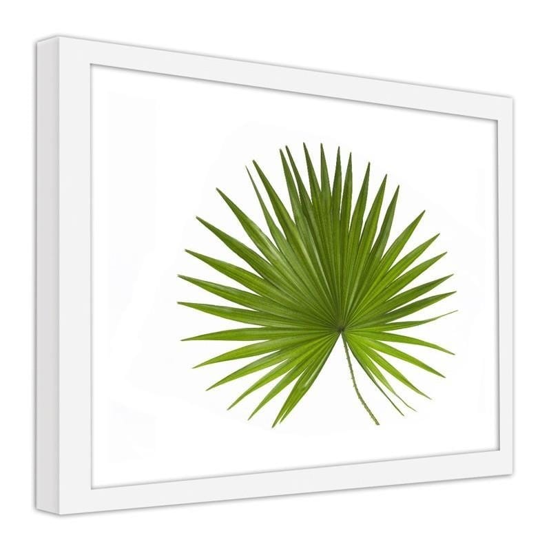 Glezna baltā rāmī - Palm leaf Home Trends DECO