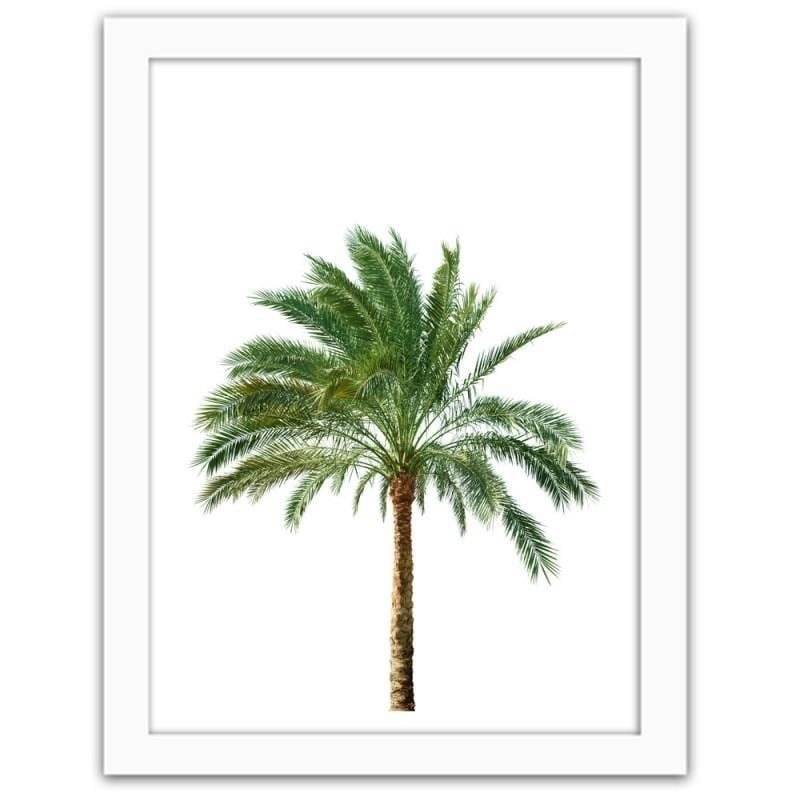 Glezna baltā rāmī - Palm on white background Home Trends DECO
