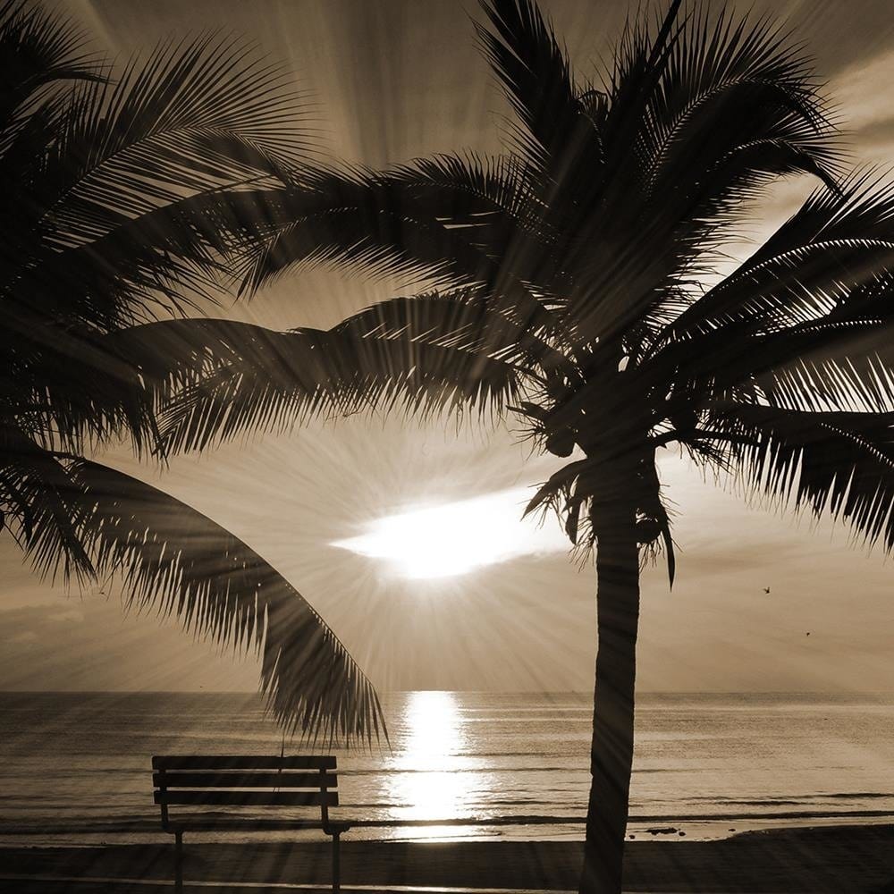 Glezna baltā rāmī - Palm Trees And Sun Rays 1 Home Trends DECO