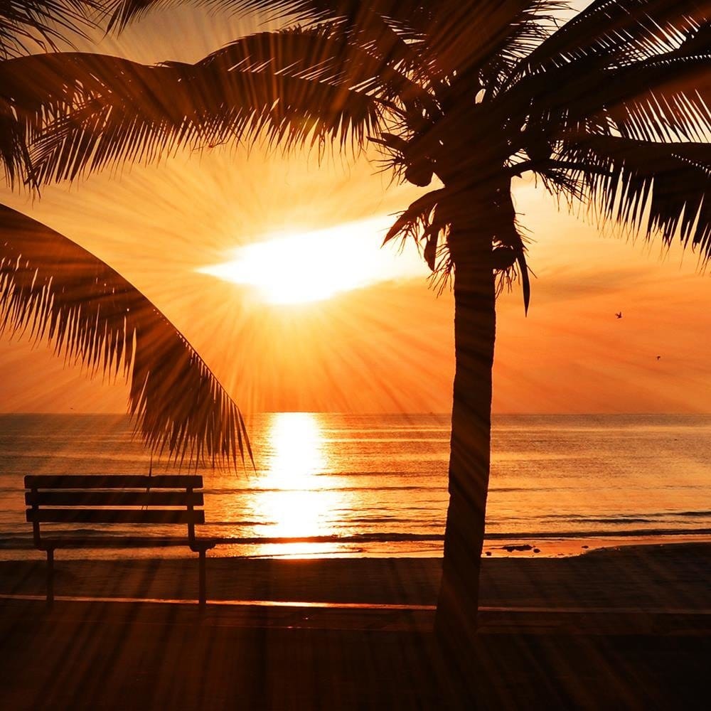 Glezna baltā rāmī - Palm Trees By The Sea At Sunset Home Trends DECO