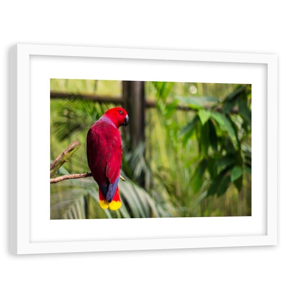Glezna baltā rāmī - Paradise Parrot Home Trends DECO