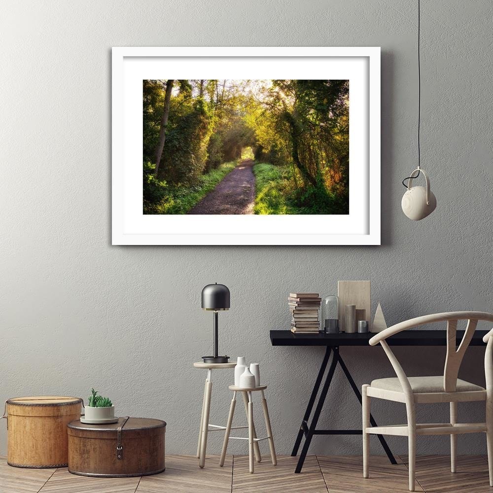 Glezna baltā rāmī - Path In Dense Forest Home Trends DECO