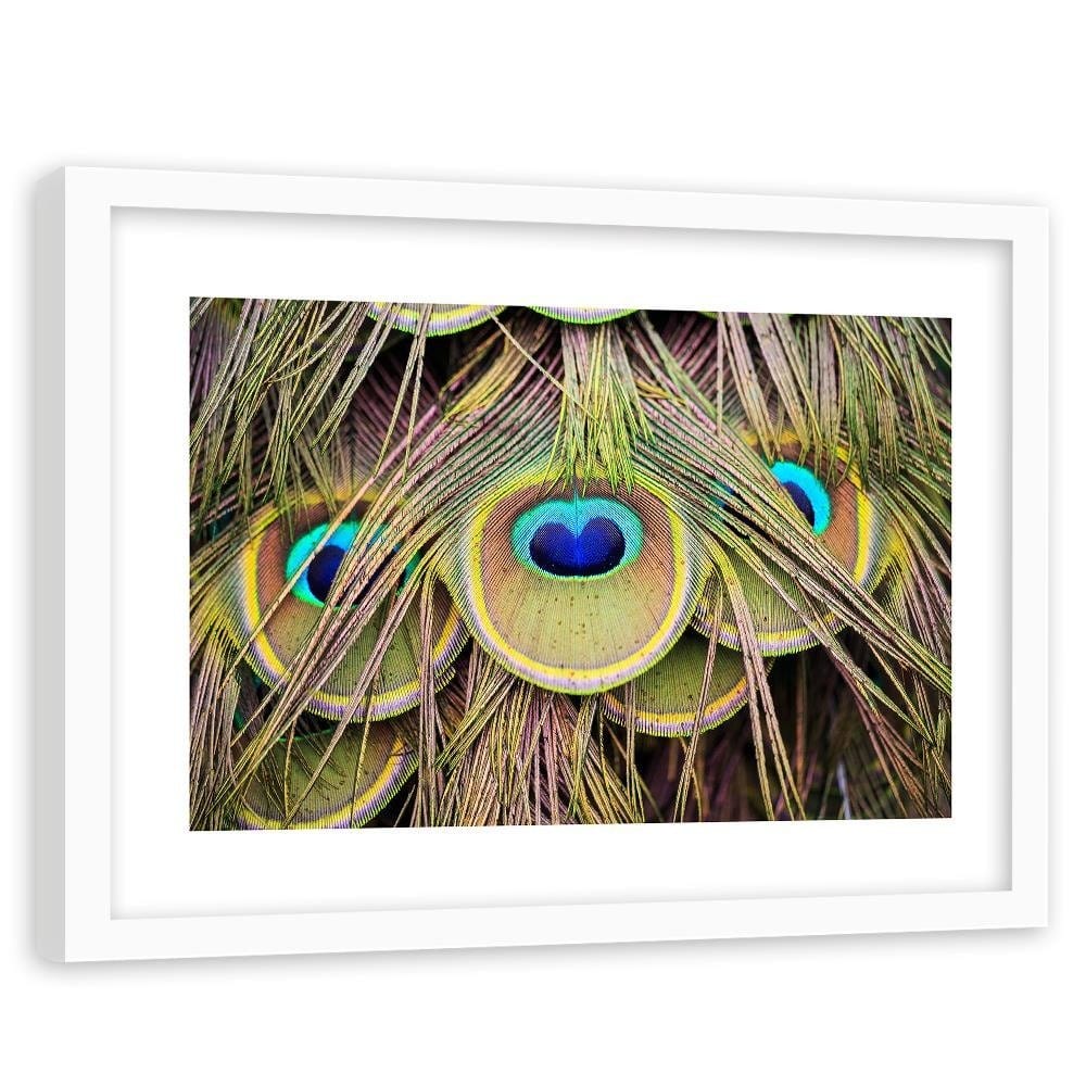 Glezna baltā rāmī - Peacock Feathers Home Trends DECO