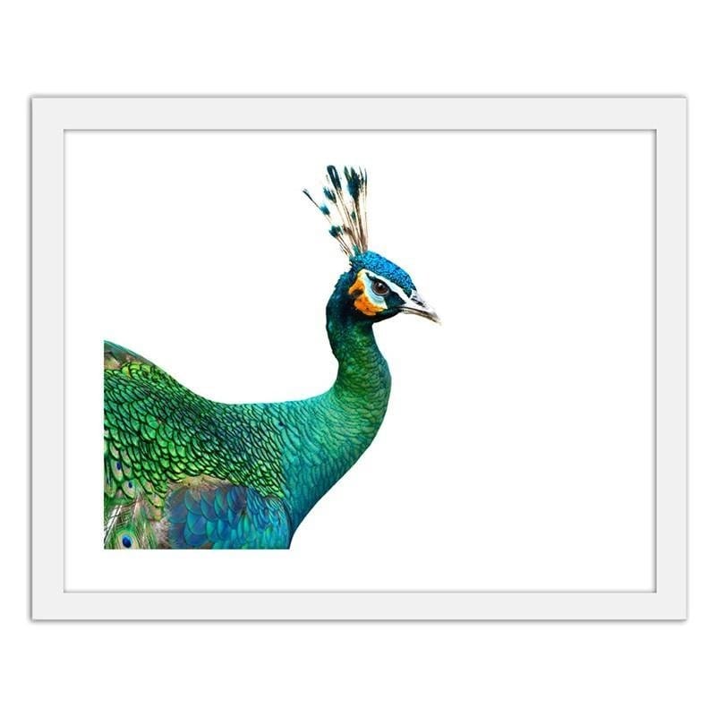 Glezna baltā rāmī - Peacock head Home Trends DECO