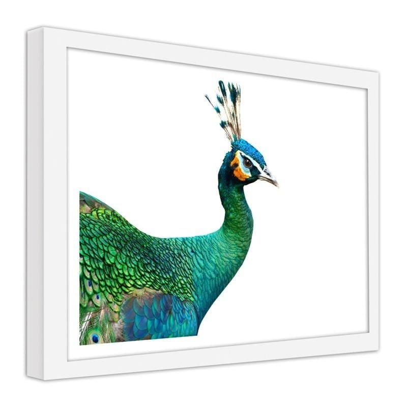 Glezna baltā rāmī - Peacock head Home Trends DECO
