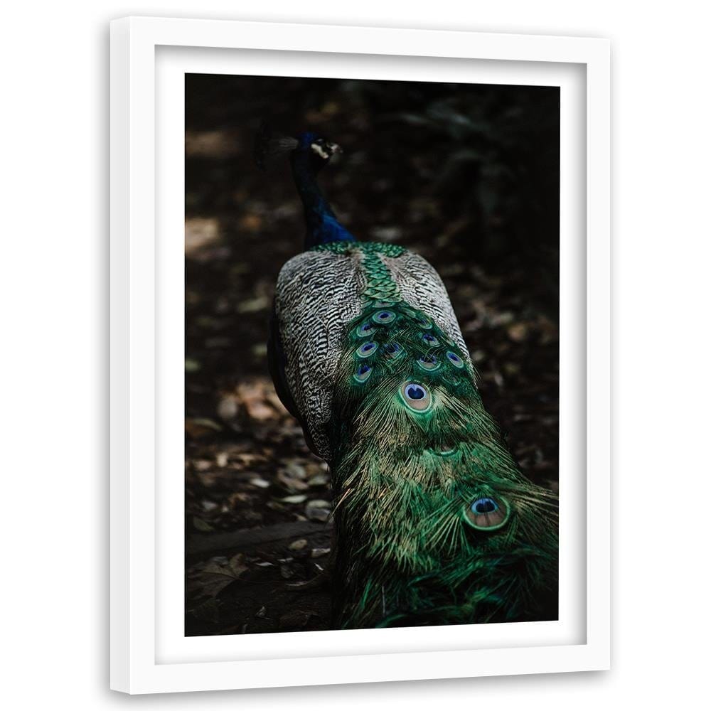 Glezna baltā rāmī - Peacock's Tail Home Trends DECO