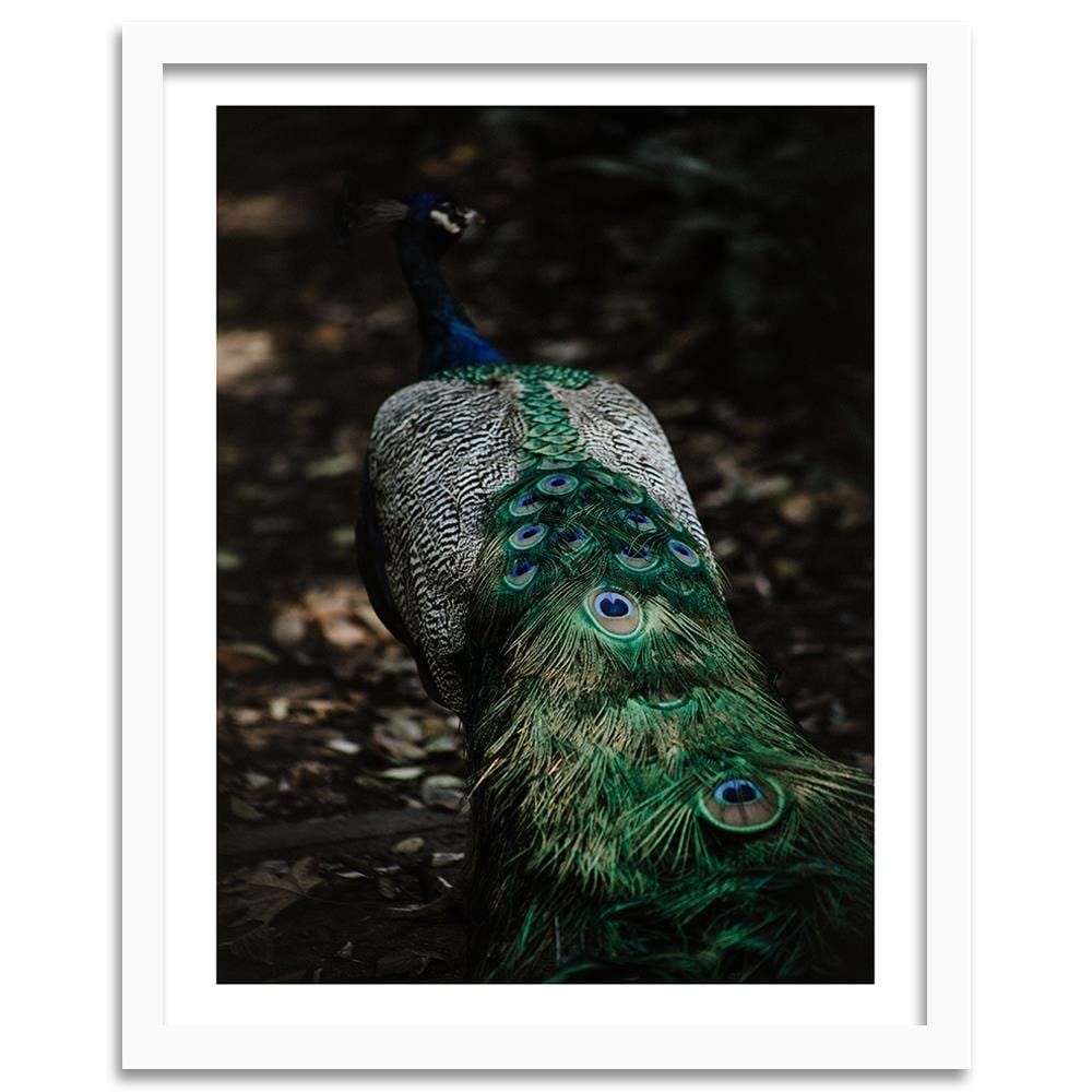 Glezna baltā rāmī - Peacock's Tail Home Trends DECO