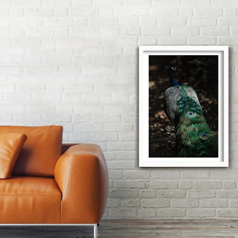 Glezna baltā rāmī - Peacock's Tail Home Trends DECO